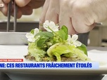 Replay Les longs formats des Locales - Dans notre quotidien : Rhône, ces restaurants fraîchement étoilés