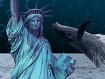 Replay Pourquoi la cohabitation avec les baleines pose problème à New York ?