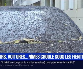 Replay BFM Première prématinale - Focus Régions - 17/10