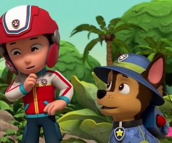 Replay Paw Patrol, la Pat'Patrouille - Une bulle dans la jungle