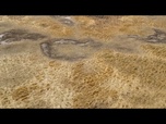 Replay Roumanie : plusieurs régions du pays touchées par une extrême sècheresse
