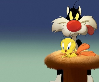 Replay Looney Tunes Cartoons - S2 E4 - La ruche de l'amour
