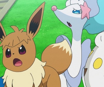 Replay Pokemon - S22 E50 - Un combat à nulle autre pareil !