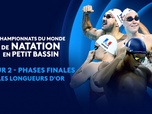 Replay Championnats du Monde de Natation petit bassin - 2e jour - Phases finales