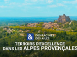 Replay Des Racines et Des Ailes