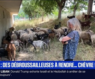 Replay BFM Première prématinale - BFM Première 4h30/6h - Mardi 2 juin 2026