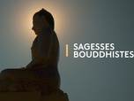 Replay Sagesses bouddhistes - L'esprit de Bouddha à la source de l'écologie authentique