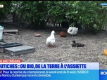 Replay Les longs formats des Locales - Au Nord ses Trésors 160626 - A Coutiches, du bio : du champ à l'assiette
