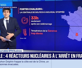 Replay Good Morning Business - Canicule : quatre réacteurs nucléaires à l'arrêt en France