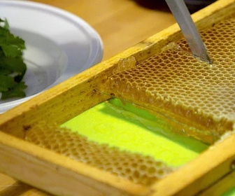 Replay Les maîtres des abeilles - 14/10/2025