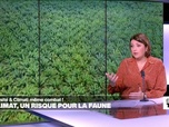 Replay Élément Terre - Climat & Biodiversité: une relation interdépendante