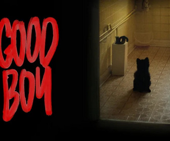 Replay Libre court - 29/10/2025