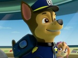 Replay Paw Patrol, la Pat'Patrouille - Le cartable d'Alex