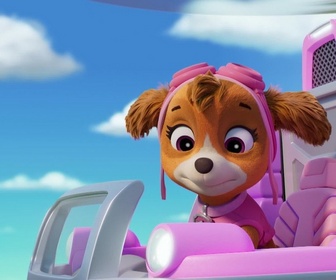 Replay Paw Patrol, la Pat'Patrouille - Le portrait de la Mini Patrouille