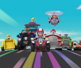 Replay Paw Patrol, la Pat'Patrouille - S10 E08 - Digi et Tal, les robots assistants
