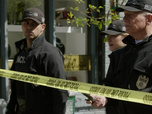 Replay NCIS - S17 E19 - Arnaque à l'irlandaise