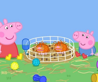 Replay Peppa Pig - S9 E38 - Les cochons d'inde