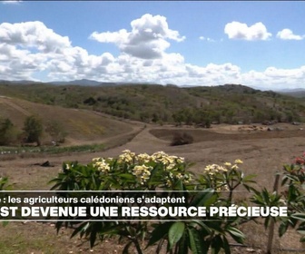 Replay Outre-Mer - Nouvelle-Calédonie : l'eau, une ressource devenue précieuse pour les agriculteurs