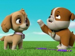 Replay Paw Patrol, la Pat'Patrouille - Le sauvetage des parachutistes