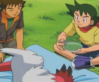 Replay Pokémon - La tactique zigzag