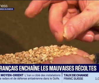 Replay Good Morning Business - Le blé français enchaîne les mauvaises récoltes