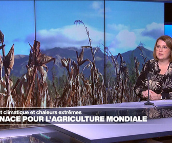 Replay Élément Terre, la quotidienne - Changement climatique: une menace pour l'agriculture mondiale