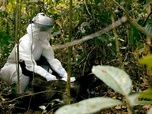 Replay Epidémies sauvages - Les animaux face à la contamination