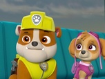 Replay Paw Patrol, la Pat'Patrouille - La ponette
