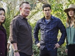 Replay Scorpion - S3 E20 - Deux filles dans le vent