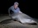 Replay River monsters