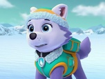 Replay Paw Patrol, la Pat'Patrouille - Le bébé pingouin