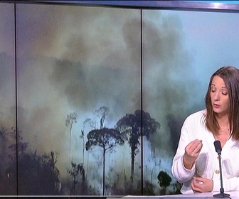 Replay Élément Terre, la quotidienne - Destructions record des forêts tropicales en 2024 : incendies et agriculture en cause