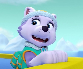 Replay Paw Patrol, la Pat'Patrouille - La Pat'Patrouille des Mers sauve la limande