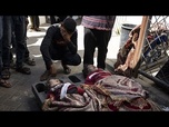 Replay L'UE doit suspendre ses liens avec Israël pour empêcher les crimes de génocide à Gaza, déclare le…