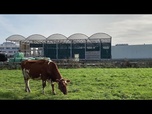 Replay Une ferme flottante pour répondre au défi du changement climatique