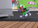 Replay Paw Patrol, la Pat'Patrouille - Des bébêtes en vadrouille
