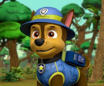 Replay Paw Patrol, la Pat'Patrouille - Le courrier du facteur