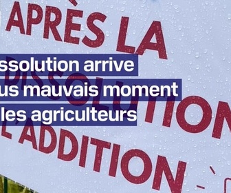 Replay TANGUY DE BFM - La dissolution arrive au plus mauvais moment pour les agriculteurs