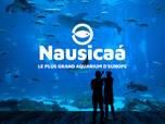 Replay Nausicaá, le plus grand aquarium d'Europe