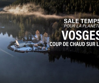 Replay Sale temps pour la planète - Vosges, coup de chaud sur le massif