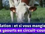 Replay On a de l'info - Inflation : et si vous mangiez des yaourts en circuit-court ?