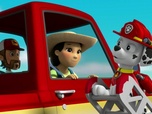 Replay Paw Patrol, la Pat'Patrouille - La Pat'Patrouille sauve Bettina