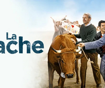 Replay La vache