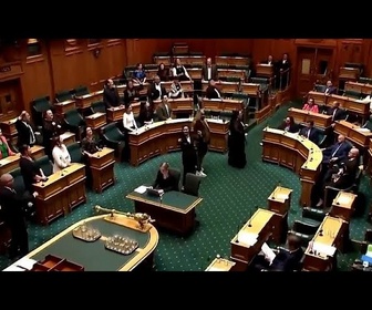 Replay No Comment : des députés font un haka en pleine séance pour défendre les droits des Maoris