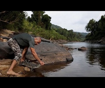 Replay No Comment : le crocodile du Siam repeuple le Cambodge