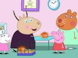 Replay Peppa Pig - S9 E58 - La journée avec la doctoresse hamster