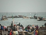 Replay ARTE Journal - Sénégal : des usines de farine animale causent la surpêche