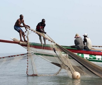 Replay Bateaux neufs, filets vides : pêcheurs de Sierra Leone