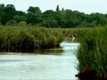 Replay Urgence climatique : un défi mondial - Le botulisme aviaire fait une hécatombe en Loire-Atlantique