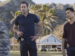 Replay Hawaii 5-0 - S7 E15 - Ka pa'ani nui